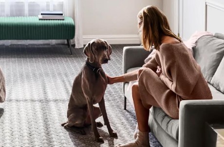 Anderson Tuftex pet-friendly carpeting available at ProSource Wholesale