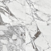 Daltile Pearl Arabesque Polished 24 x24 Ceramic Floor & Wall Tile