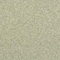 Dixie Home Semitones frieze carpet in Balsam color available at ProSource Wholesale