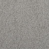 Dixie Home Soft and Silky texture carpet in Balsam color available at ProSource Wholesale