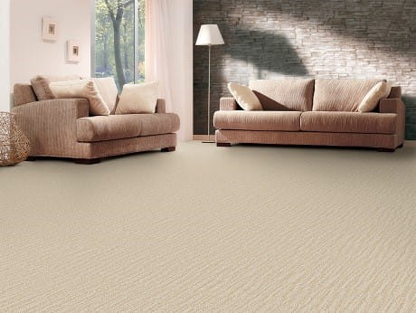 Dixie Home carpet, available at ProSource Wholesale, combines style with performance