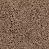 DuraWeave Drury Fleck texture carpet in Spice Cake color available at ProSoure Wholesale