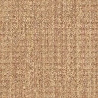 DuraWeave Elite Roher loop carpet in Hidden Treasure color available at ProSource Wholesale