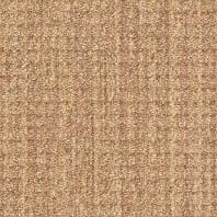 DuraWeave Elite Roher loop carpet in Hidden Treasure color available at ProSource Wholesale