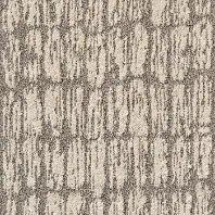 Resista Plus H2O carpet Brahma available at ProSource Wholesale