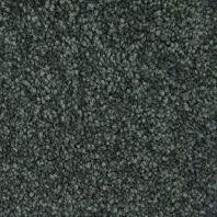 Innovia Cranstil Premium texture carpet in Luminaria color available at ProSource Wholesale