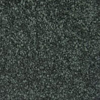 Innovia Cranstil Premium texture carpet in Luminaria color available at ProSource Wholesale