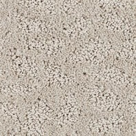 Innovia Moriah pattern carpet in Cracked Wheat color available at ProSource Wholesale