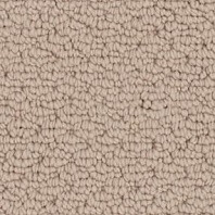 Innovia Tyseley pattern carpet in Steambath color available at ProSource Wholesale