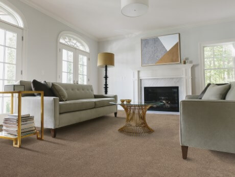 Innovia Touch carpet in a living room