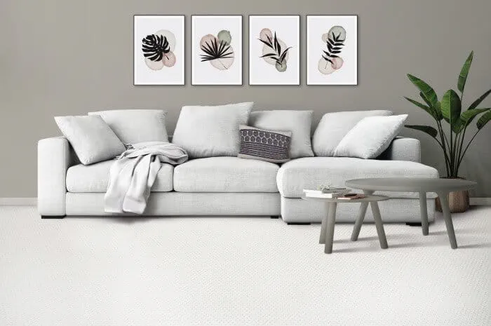 Innovia carpet in a living room