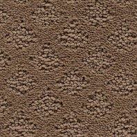 Innovia Carmelita Pattern Carpet 