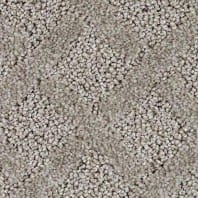 Innovia Mojave Pattern Carpet