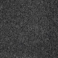 Innovia Touch Dark Hour Textured Saxony Carpet