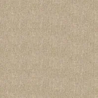 Carpet Pet-friendly Innovia Touch Nutria Pattern Carpet