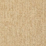 Masland Casa Grande pattern carpet in Copley color available at ProSource Wholesale