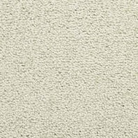 Masland Corniche berber carpet in Patina color available at ProSource Wholesale