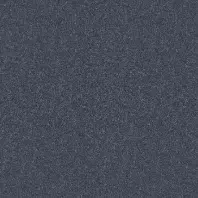 Resista Plus H2O Buffer Best carpet in Moody Blue color available at ProSource Wholesale
