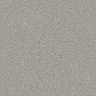 Resista Plus H2O Libby Better carpet in Fresco color available at ProSource Wholesale