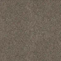 Resista Plus H2O Lucaya Best carpet in Shortbread color available at ProSource Wholesale