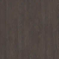 Resista Plus H2O Arbuckle II luxury vinyl in Ebony Oak color available at ProSource Wholesale