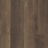Resista Plus H2O Siloam Plank luxury vinyl in Aged Oak color available at ProSource Wholesale