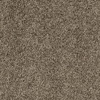 Resista Soft Style Fetching texture carpet in Manor Brown color available at ProSource Wholesale