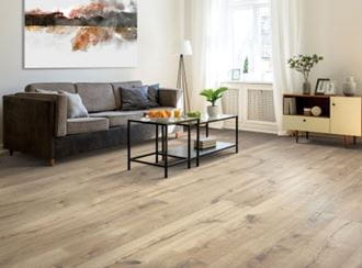 Modern living room with light wood flooring, a gray sofa, glass coffee table, and contemporary decor.