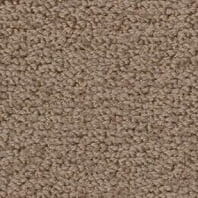Passages by Tigressa Summer Wine loop carpet in Boardwalk color available at ProSource Wholesale