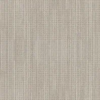 Tigressa Soft Style Adara berber carpet in Believe-Buff color available at ProSource Wholesale