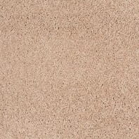 Tigressa Soft Style Caldera Best frieze carpet in Caravan color available at ProSource Wholesale