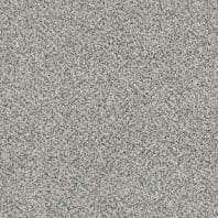 Tigressa Soft Style Hankering Best 12 frieze carpet in Iron Gate color available at ProSource Wholesale