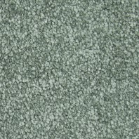 Innovia Cranstin Best carpet in Ivy Trellis color available at ProSource Wholesale