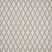 Stanton Butler carpet in Artic color available at ProSource Wholesale