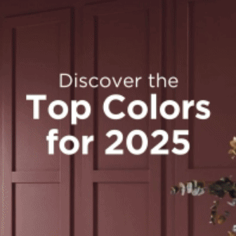 Discover the Top Colors of the Year
