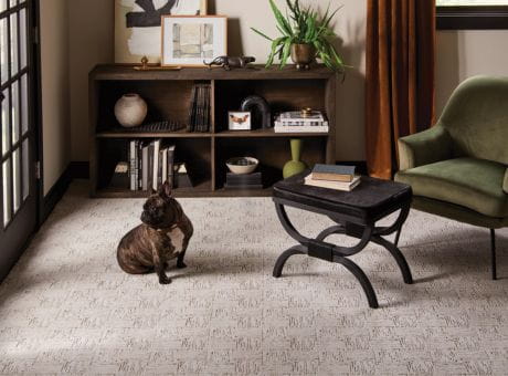 A living room with Anderson Tuftex carpet, green armchair, a small table, books, decor items on a shelf, and a black and brindle French Bulldog.