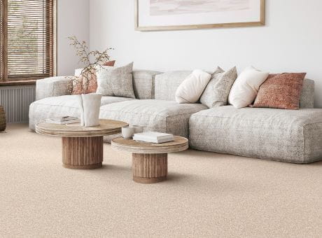 Living room with beige carpet, gray sofa, wooden coffee tables, and decorative cushions.