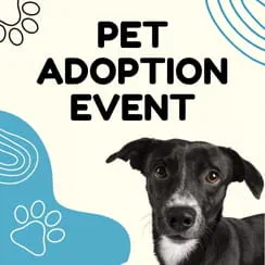 Pet Adoption