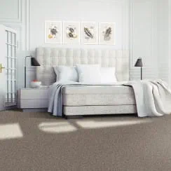 In-stock carpet at great prices