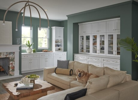 White Wolf cabinets in a living room