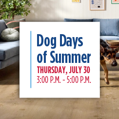 Promotion for the Dog Days of Summer event scheduled for July 30 from 3 P.M. to 5 P.M., shown with a dog indoors in a living space.