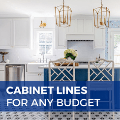 Cabinet lines for any budget