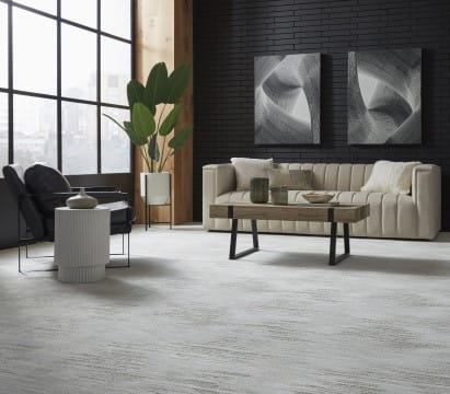 Carpet displayed in the living room