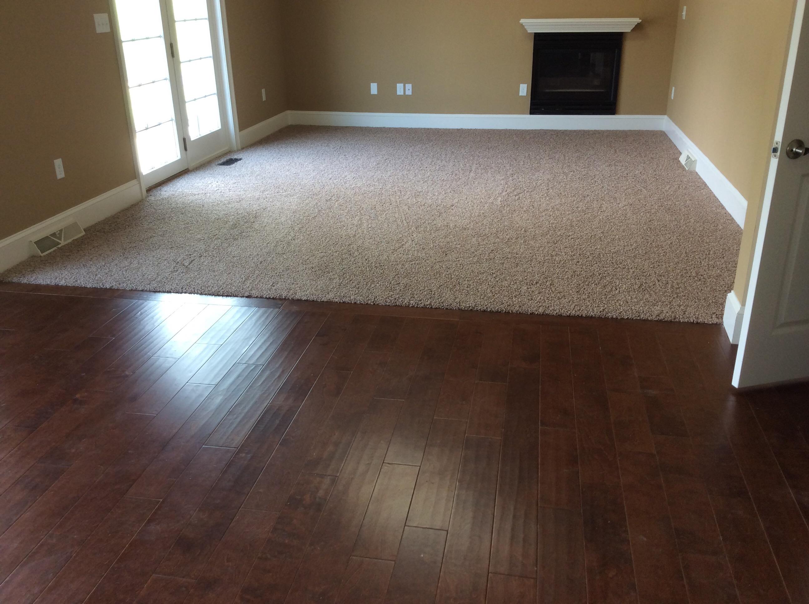 The Comfort of Carpet Living Room 